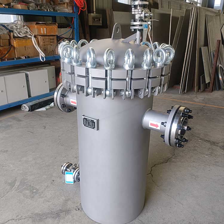 籃式過(guò)濾器-(6)