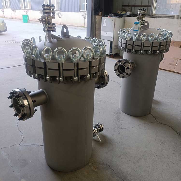 籃式過(guò)濾器-(4)